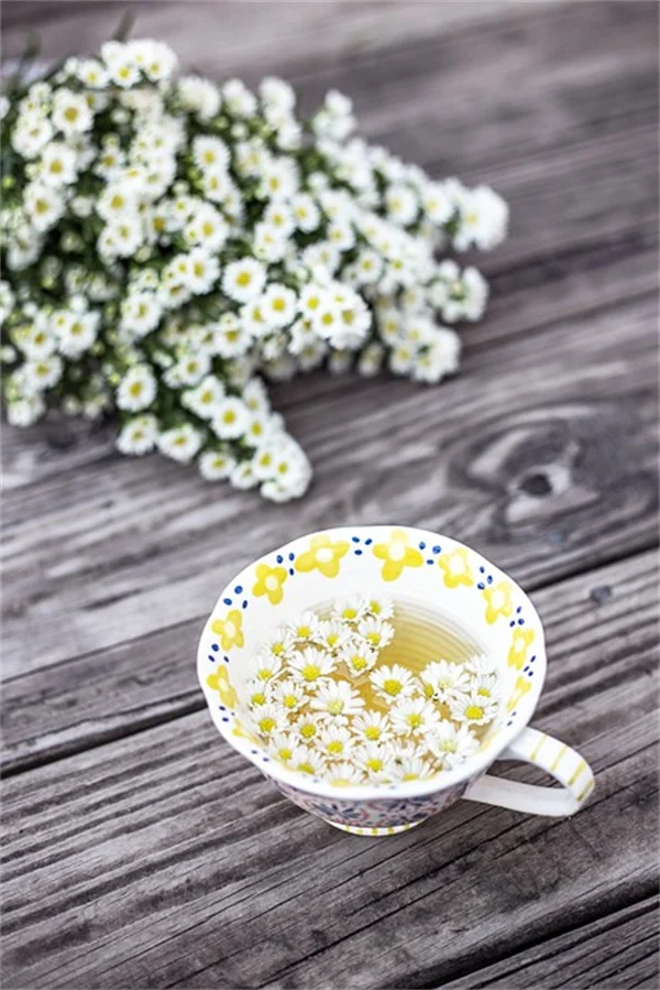菜園とアヒル：害虫駆除と卵の美味しさを実感する3つの理由
