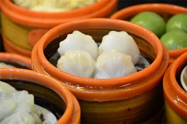 新鮮な種はすぐに植えても大丈夫？プロが教える待つべき理由